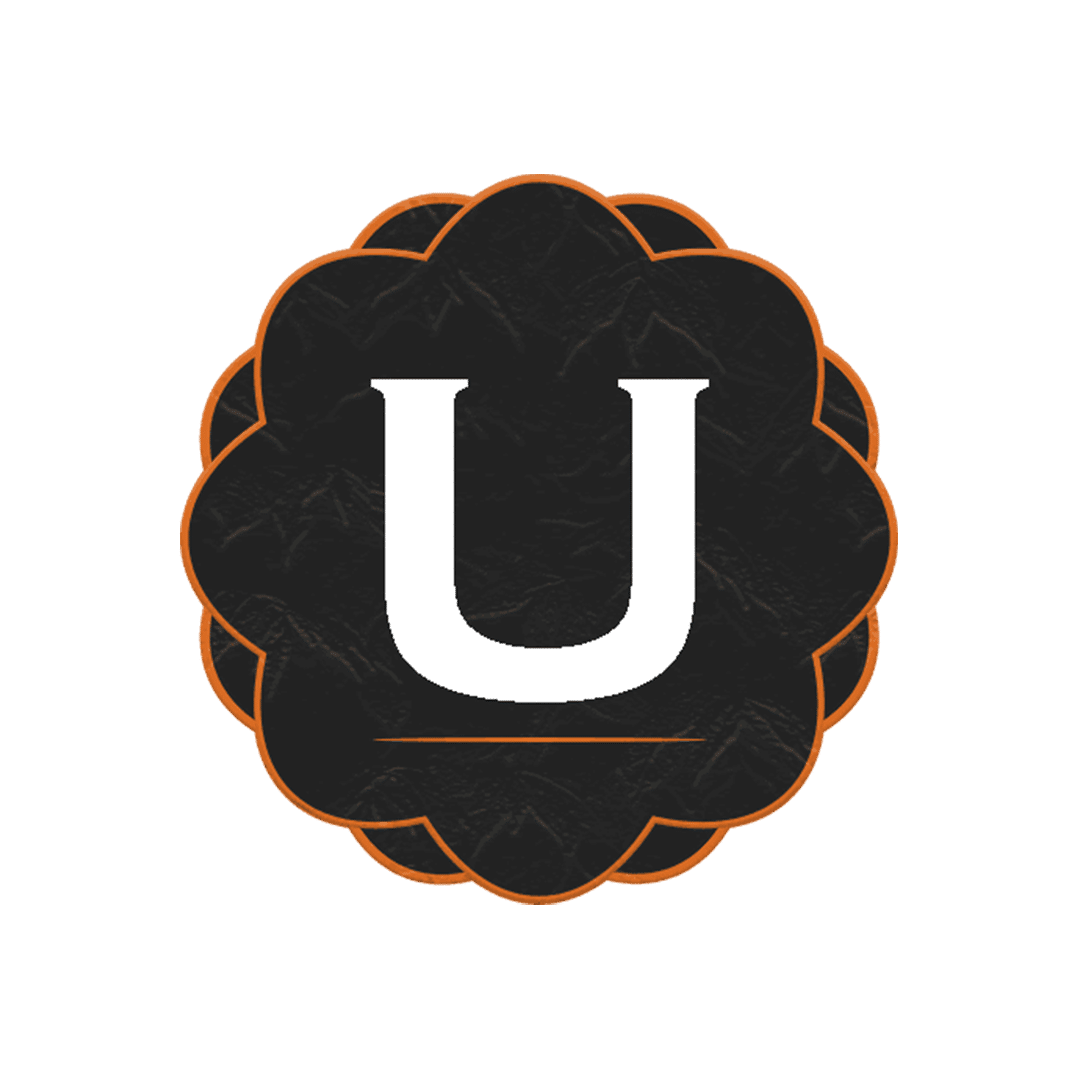 Unified DNS logo